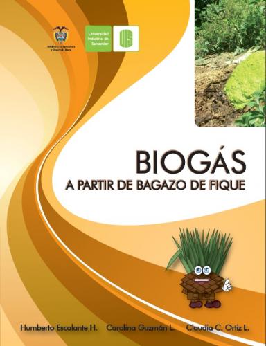 Cubierta para Biogás a partir del bagazo del fique