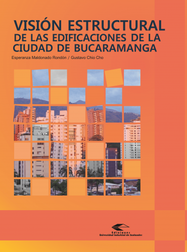 Cubierta para Visión estructural de las edificaciones de la ciudad de Bucaramanga